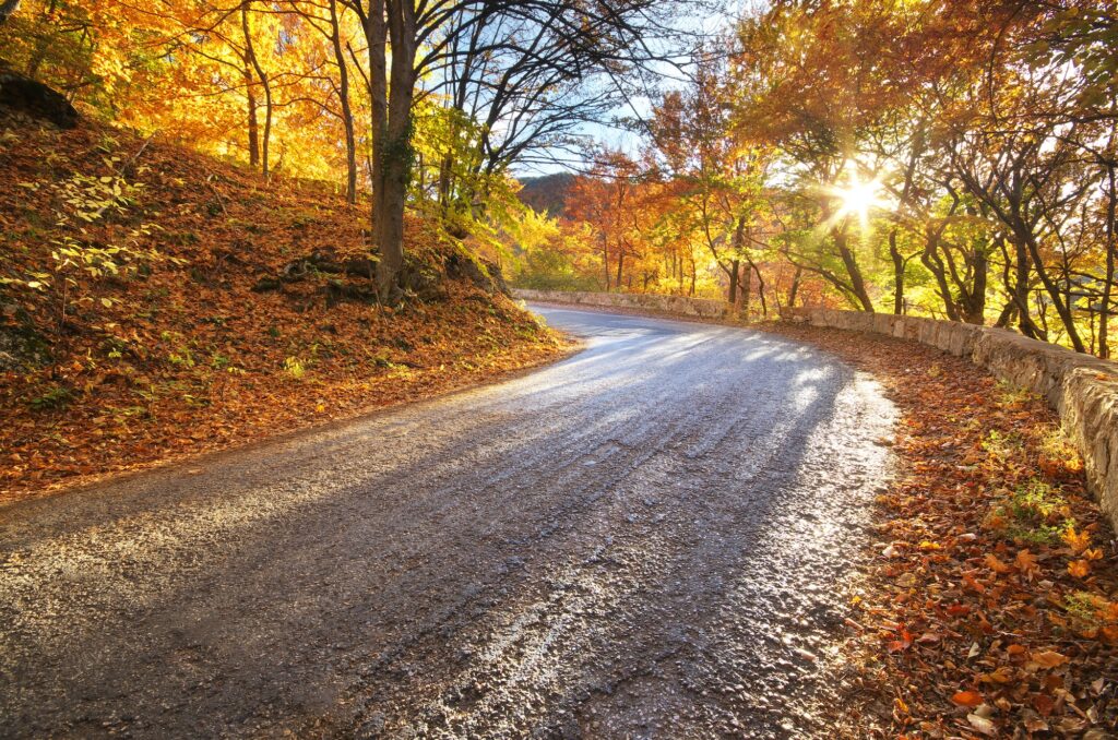 Autumn road