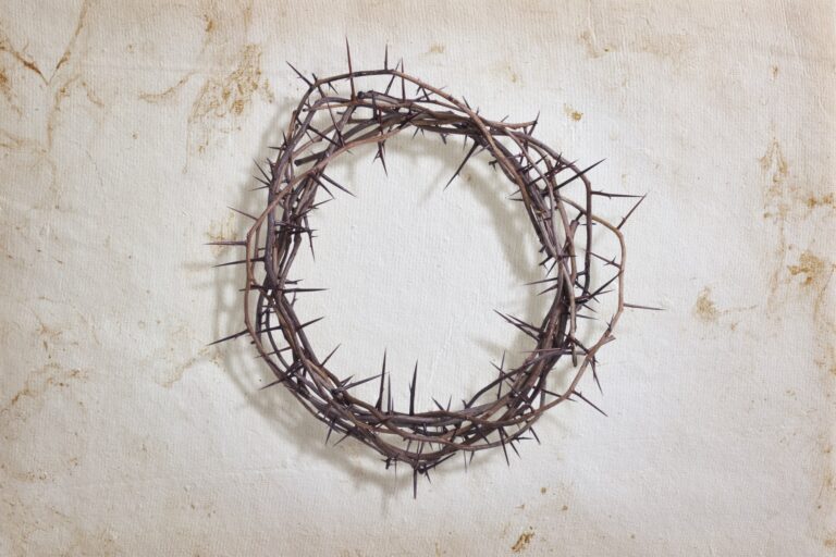 Crown of Thorns on White Paper Background